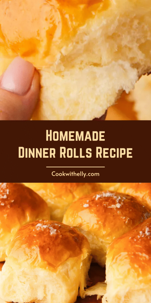 Homemade Dinner Rolls Recipe