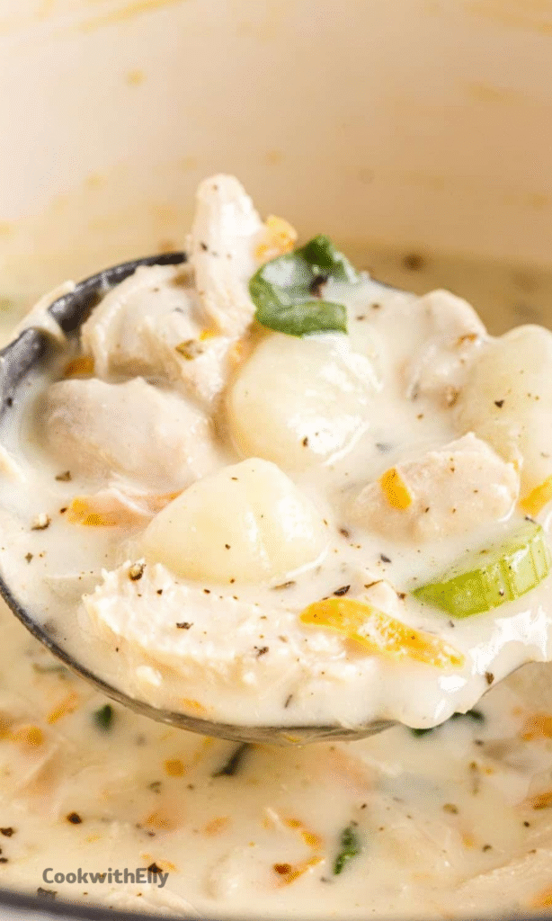 Chicken Gnocchi Soup Recipe