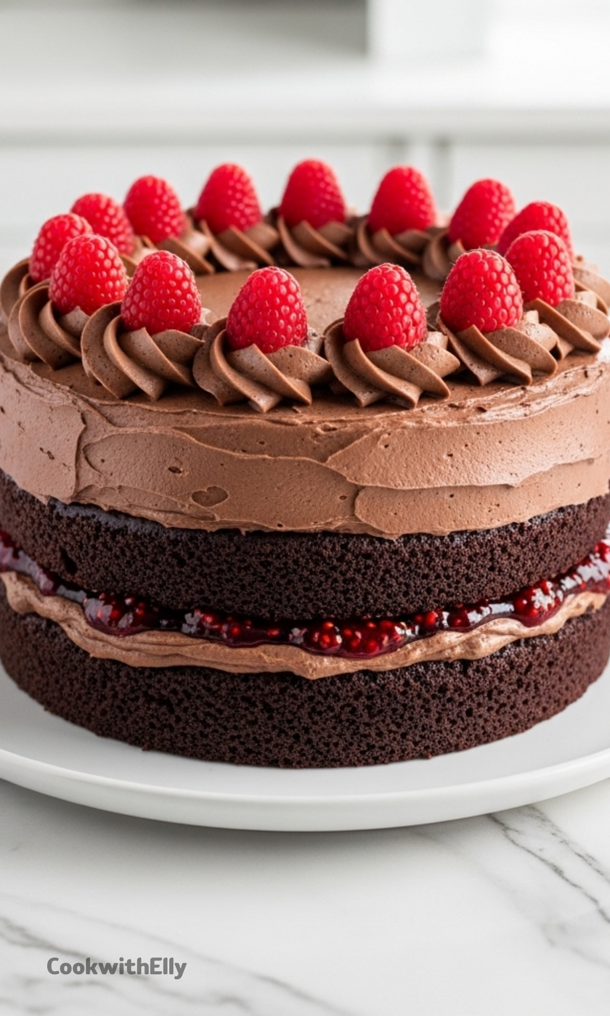 Chocolate Raspberry Cake Recipe - cookwithelly.com
