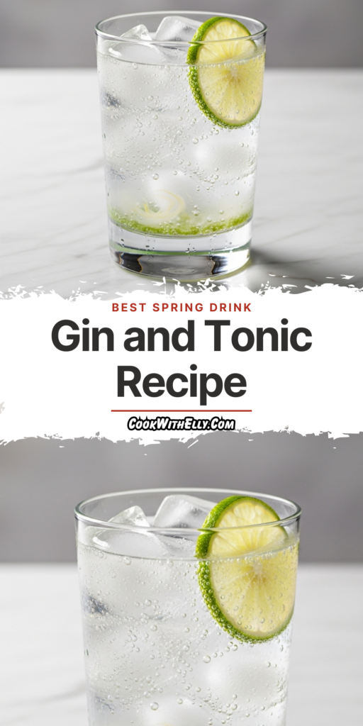 Gin and Tonic Recipe